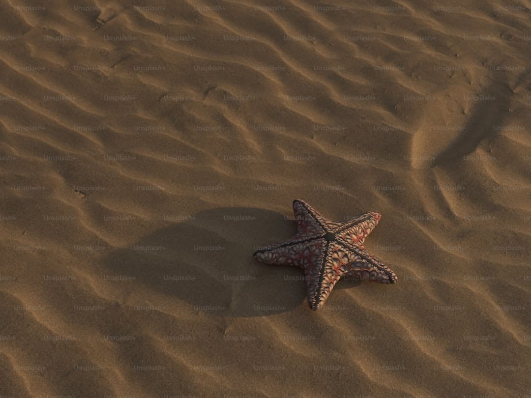 漳浦开渔 千帆竞发赴蓝海